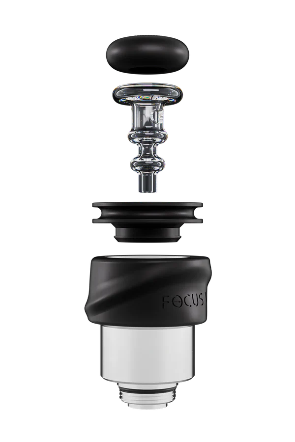 Focus V - CARTA SPORT Kit - Image 8